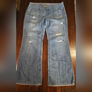 American Eagle jeans size 14